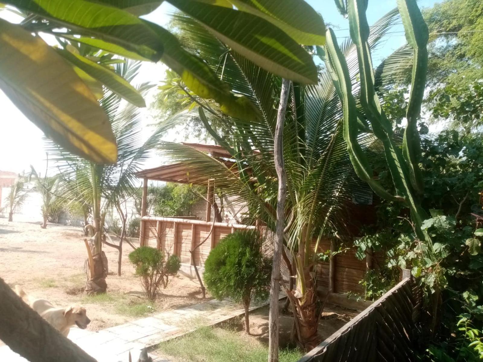 La Casa De Diego Zorritos Bagian luar foto
